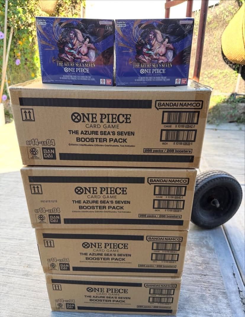 photo 2026 01 18 09 33 18